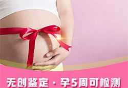 绵阳胎儿亲子鉴定如何做（预约咨询）