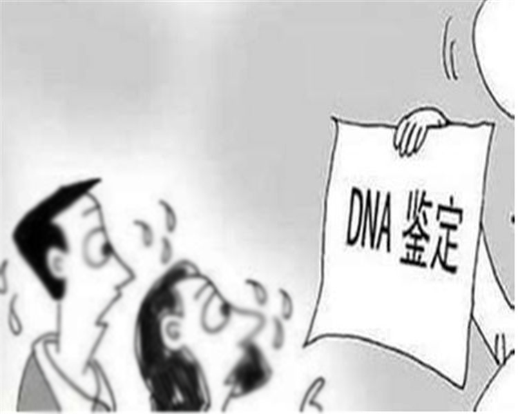 绵阳司法亲子鉴定需要什么材料和流程,绵阳司法亲子鉴定哪里能做 绵阳司法亲子鉴定需要什么材料和流程,绵阳司法亲子鉴定哪里能做