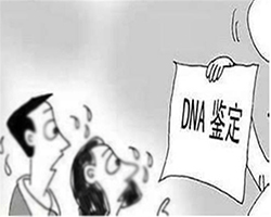 绵阳司法亲子鉴定需要什么材料和流程(附2026鉴定中心地址)，绵阳司法亲子鉴定哪里能做