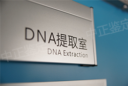 绵阳怀孕9周能做怀孕亲子鉴定吗，绵阳办理怀孕亲子鉴定要多少钱